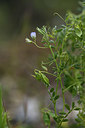 BUITEN BEELD Foto: 413677