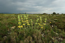 BUITEN BEELD Foto: 413683