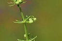 BUITEN BEELD Foto: 413696