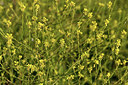BUITEN BEELD Foto: 413703