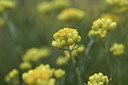 BUITEN BEELD Foto: 413714