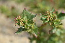 BUITEN BEELD Foto: 413732