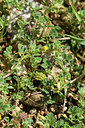 BUITEN BEELD Foto: 413735