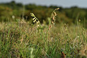 BUITEN BEELD Foto: 413753