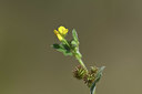 BUITEN BEELD Foto: 413767