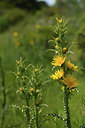 BUITEN BEELD Foto: 413787