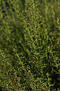 BUITEN BEELD Foto: 413795