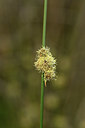 BUITEN BEELD Foto: 413807