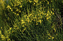 BUITEN BEELD Foto: 413810