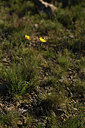 BUITEN BEELD Foto: 413814