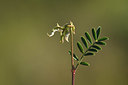 BUITEN BEELD Foto: 413851