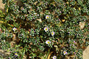 BUITEN BEELD Foto: 413858