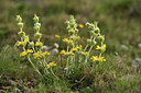 BUITEN BEELD Foto: 413868