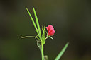 BUITEN BEELD Foto: 413875