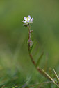 BUITEN BEELD Foto: 413882