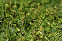 BUITEN BEELD Foto: 413901