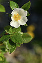 BUITEN BEELD Foto: 413903
