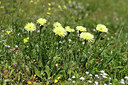 BUITEN BEELD Foto: 413920