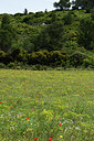 BUITEN BEELD Foto: 413928