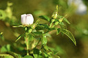 BUITEN BEELD Foto: 413947