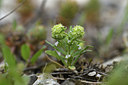 BUITEN BEELD Foto: 413950