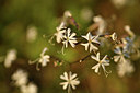 BUITEN BEELD Foto: 413956
