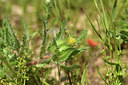 BUITEN BEELD Foto: 413965