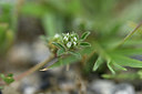 BUITEN BEELD Foto: 413977