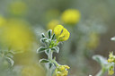 BUITEN BEELD Foto: 413978