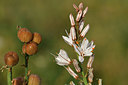 BUITEN BEELD Foto: 413981