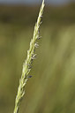 BUITEN BEELD Foto: 413987