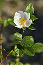 BUITEN BEELD Foto: 414000