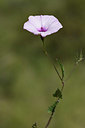BUITEN BEELD Foto: 414009