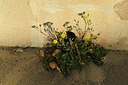 BUITEN BEELD Foto: 414030