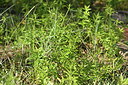 BUITEN BEELD Foto: 414031