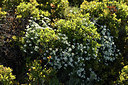 BUITEN BEELD Foto: 414032