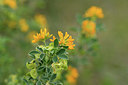 BUITEN BEELD Foto: 414040