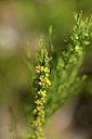 BUITEN BEELD Foto: 414048