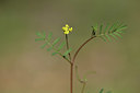BUITEN BEELD Foto: 414053