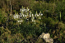 BUITEN BEELD Foto: 414058