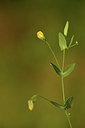 BUITEN BEELD Foto: 414074