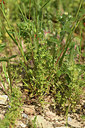BUITEN BEELD Foto: 414103