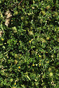 BUITEN BEELD Foto: 414134