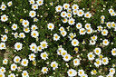 BUITEN BEELD Foto: 414147