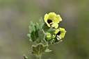 BUITEN BEELD Foto: 414169