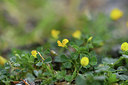BUITEN BEELD Foto: 414189