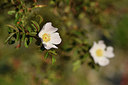 BUITEN BEELD Foto: 414254