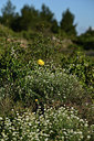 BUITEN BEELD Foto: 414255