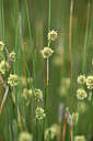 BUITEN BEELD Foto: 414256