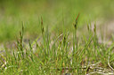 BUITEN BEELD Foto: 414265